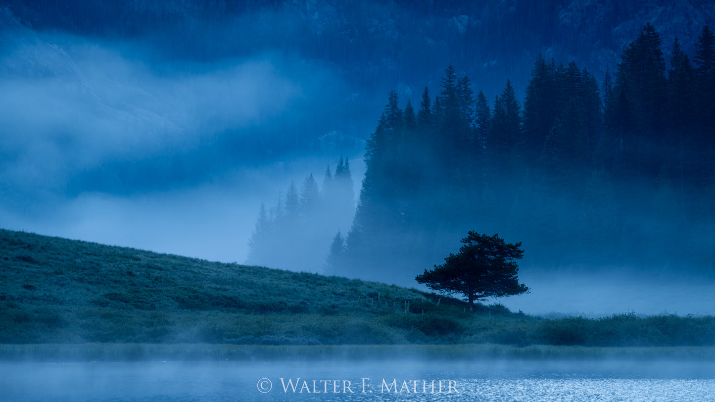 Morning Solitude - Piney Lake