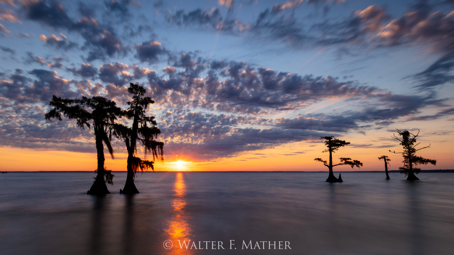 Atchafalaya Sunrise