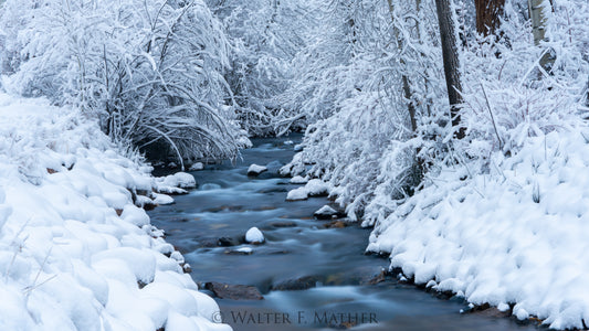 First Snow - Brush Creek