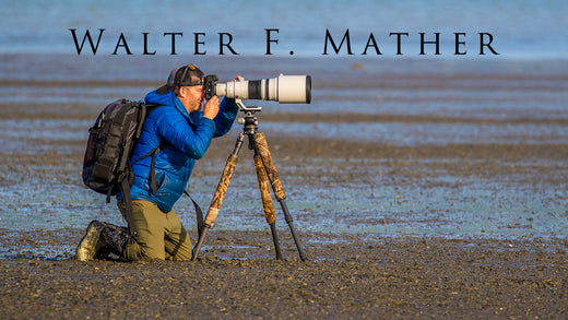 Who is Walter Mather