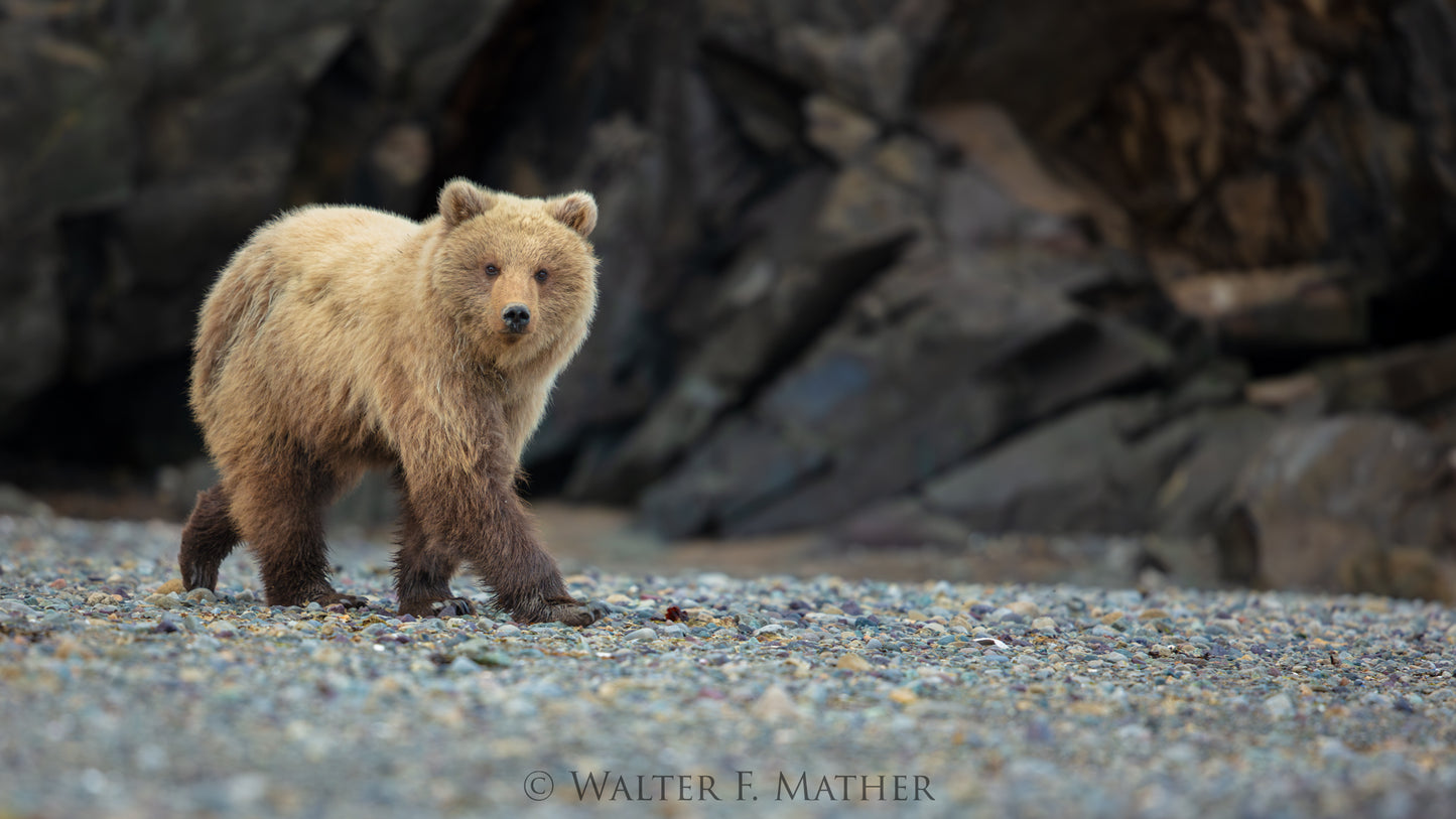 Bearable