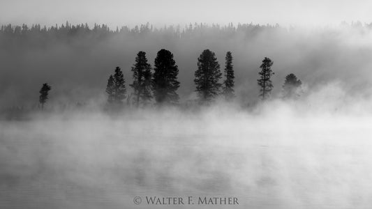 Yellowstone Morning